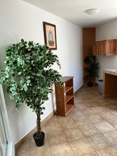 Double Room image 2