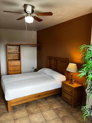 Family Suite image 4