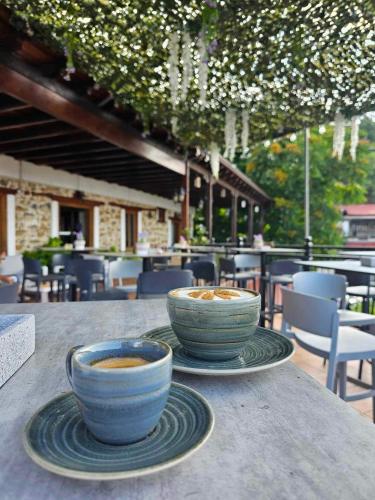 Two Flowers Hotel in Pedoulas