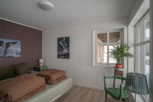 Secluded northern light apartment with great view! in Meistervik