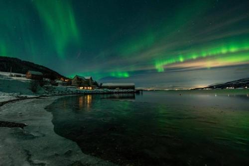 Secluded northern light apartment with great view! in Meistervik