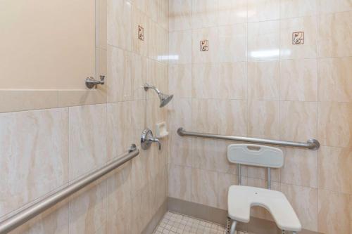 Best Western Plus Airport Plaza - image 12