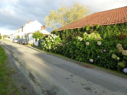 Gîte Saint-Julien-des-Landes 2 pièces 3 personnes - FR-1-426-336 - image 3