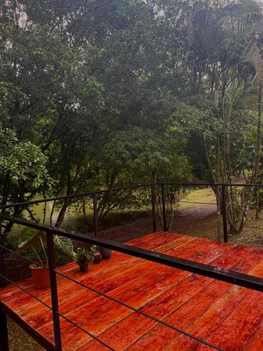 Ficus house in Boca Tapada