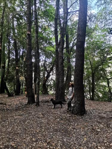 Habitación Refugio Kiñeco