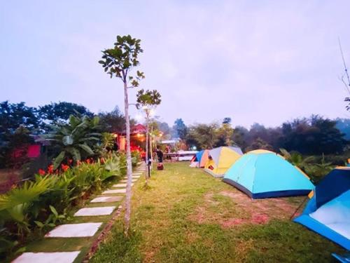 Vu Glamping