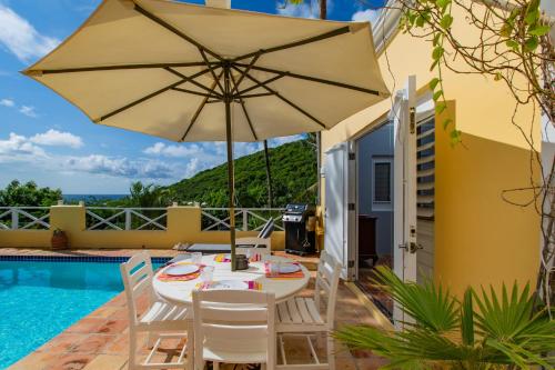 Seaview Palms Villa - St Croix USVI