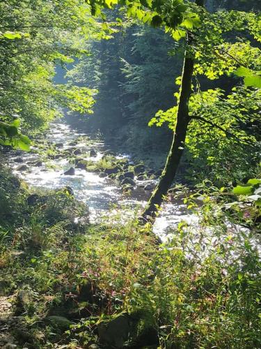 Sonnwies - Erholung pur im Bayerischen Wald
