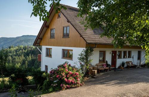 Hansjörgenhof Bioland-Hof - Apartment - Schiltach