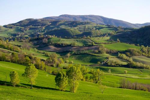 natura e relax nelle verdi colline emiliane