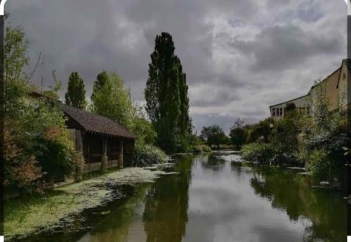 Appartement rez de jardin