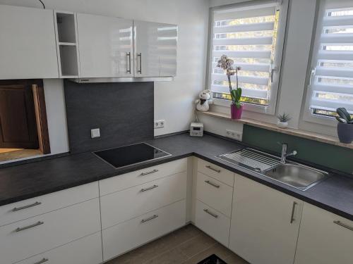 廚房, Ferienwohnung gemütlich modern (Ferienwohnung gemutlich modern) in 朗根岑