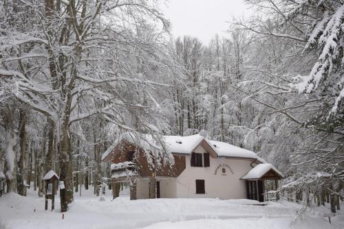 Chalet Il Cristallo-Monte Amiata - image 2