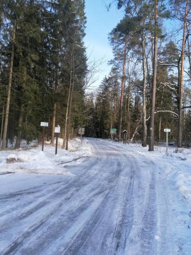 Apartament Przy Puszczy Białowieskiej
