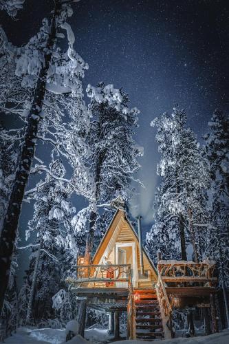 Cozy a-frame in the woods