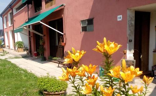 Ecogarden camping with rooms Venice