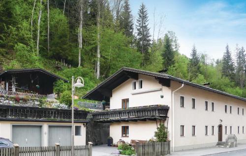 Foto 1: Stunning Apartment In Mhlbach Am Hochknig With 1 Bedrooms And Wifi