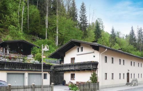 Stunning Apartment In Mhlbach Am Hochknig With 1 Bedrooms And Wifi - Mühlbach am Hochkönig