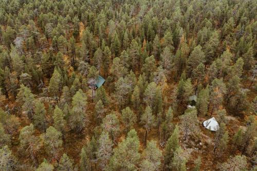 Cozy a-frame in the woods