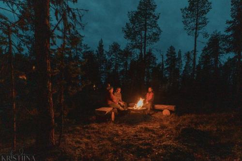 Cozy a-frame in the woods