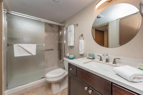 208B One Bedroom One Bath in Oakland, USA
