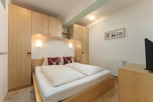 Ski-In/Ski-Out Appartements Augasse by Schladming-Appartements - image 3