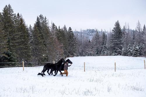 Ranch de Frisons le Fer à Cheval - Le Madison - Chalet Rustchic au pied du Mont Mégantic