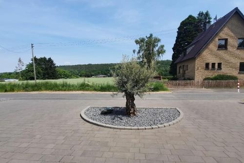 Haus mit viel Platz, Terrasse und Garten