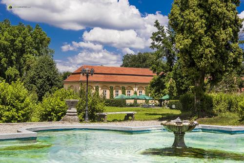 Palatul Brukenthal Avrig - image 14