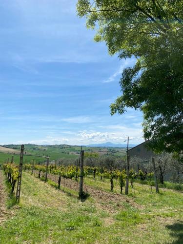 L'Antica Colombaia; B&B room with private terrace