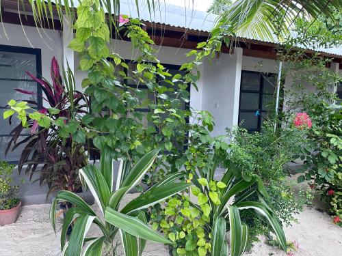 Boli Villa Thoddoo Boli Villa Thoddoo