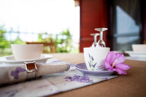 HIŠA ROSA HIŠA ROSA