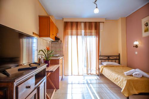 Xenia Palace luxury apartments