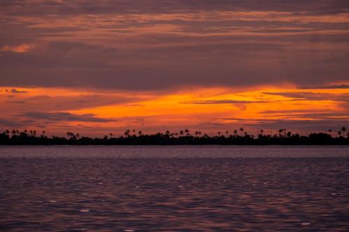 Private Sailingyacht "Guji" With Crew All Inclusive in El Porvenir