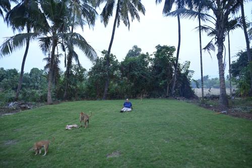 amee's retreat in Diveagar