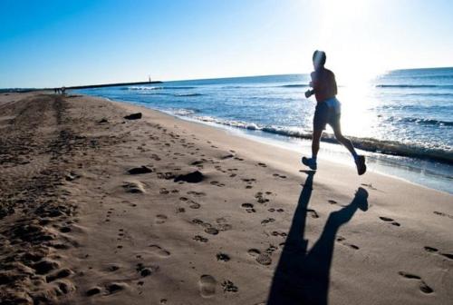 ทัศนียภาพ, Bungalow tout confort avec accès direct à la plage (Bungalow tout confort avec acces direct a la plage) in กรุยส์สัน
