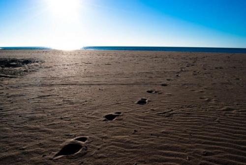 ชายหาด, Bungalow tout confort avec accès direct à la plage (Bungalow tout confort avec acces direct a la plage) in กรุยส์สัน