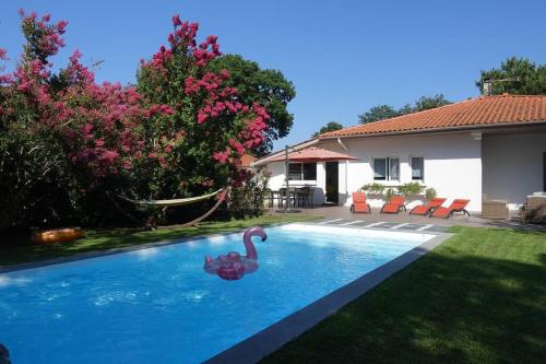 Villa au bord de la mer, piscine chauffée 9x4 - Location, gîte - Labenne