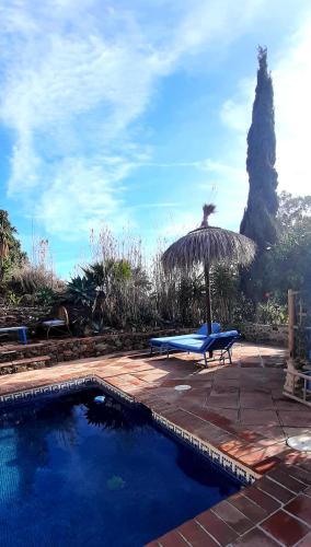 Attico Los Montes with private pool