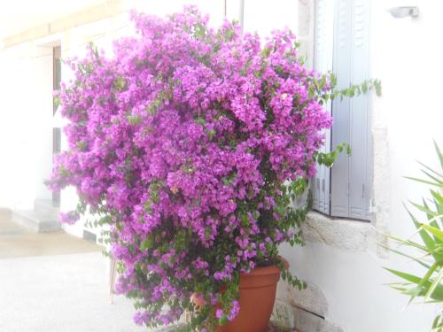 Hotel Fouillade - image 7