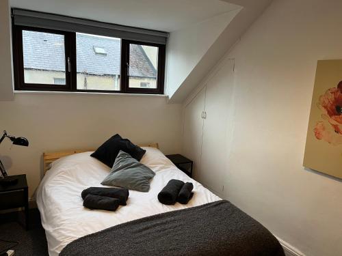 Loganberry apartment 2