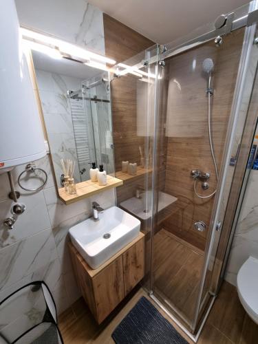 One-Bedroom Apartment image 10