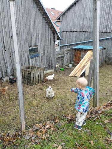 Ferienwohnungen Bonnleiten Familie Stöger