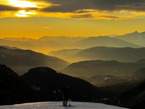 Ski Lodge Pampeago - Accommodation - Alpe di Pampeago