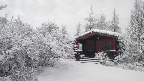Stora Sandfell Rooms and Cottages - image 9