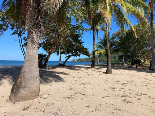 strand, Apartment Diamond Hill Resort in Diamond Rock