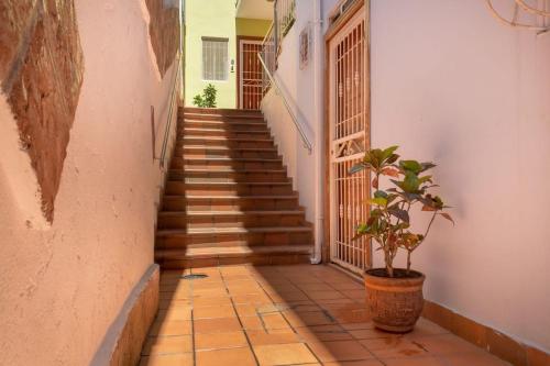 Two-Bedroom Apartment image 8