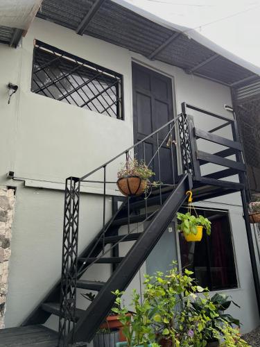 Exterior view, SelvaToSleep in Quepos