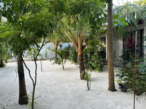 Boli Villa Thoddoo Boli Villa Thoddoo