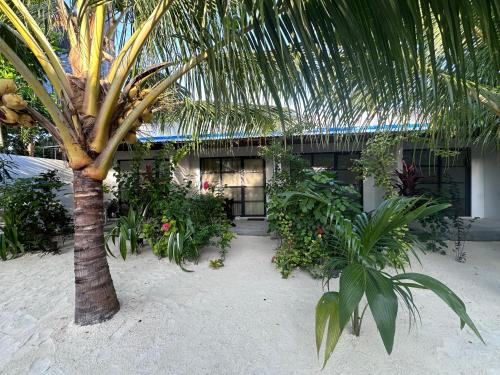 Boli Villa Thoddoo Boli Villa Thoddoo